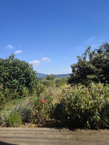 Villa Spacieuse Avec Terrasse Et Vue Mont Ventoux Entrechaux Kültér fotó