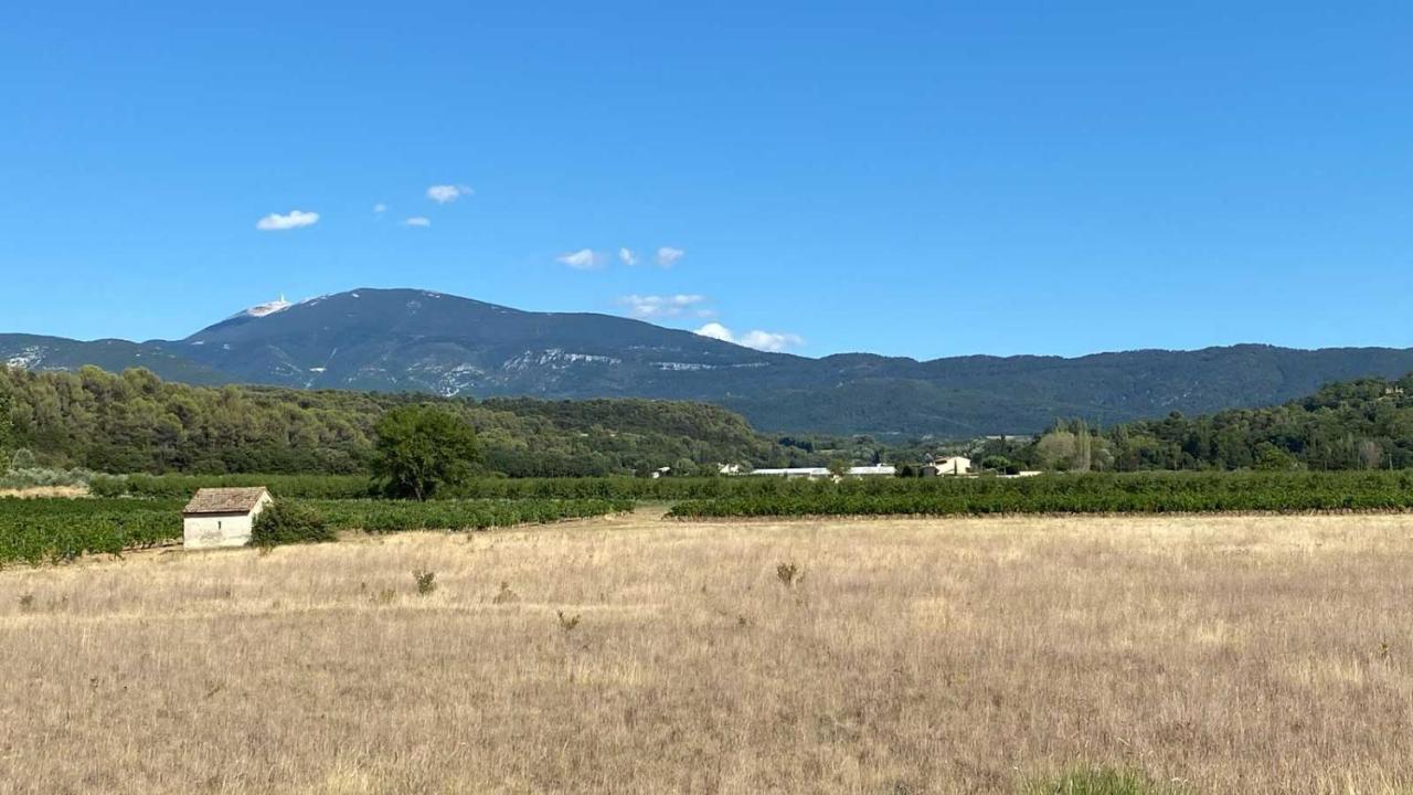 Villa Spacieuse Avec Terrasse Et Vue Mont Ventoux Entrechaux Kültér fotó